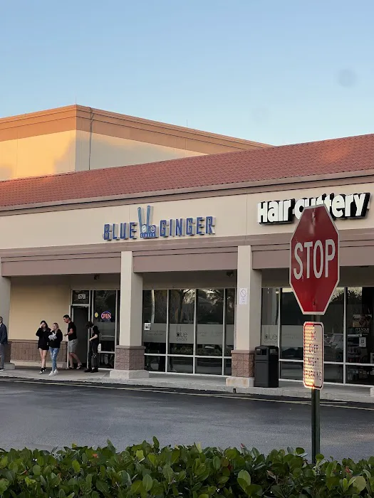 Blue Ginger Picture 2