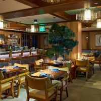 Azabu Miami Beach ico