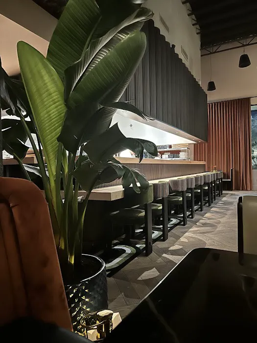 Kissaki Japanese Restaurant Picture 1