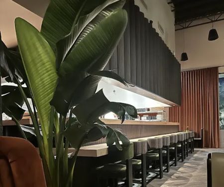 Kissaki Japanese Restaurant