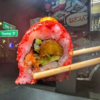 Aka Sushi 58 ico