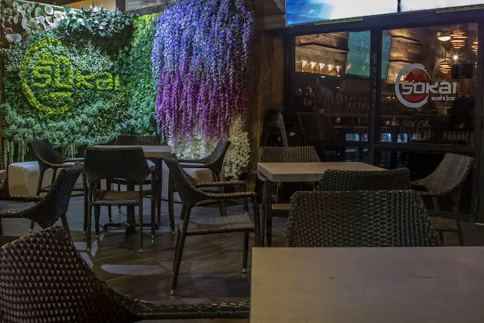 Sokai Sushi Bar Picture 1