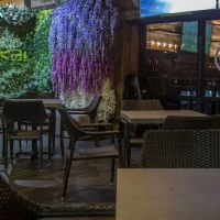 Sokai Sushi Bar ico