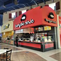 Teriyaki Ninja ico