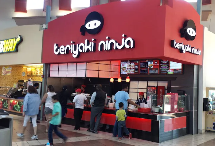 Teriyaki Ninja Picture 3