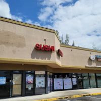 Sushi To Go ico