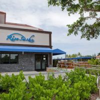 Rise Sushi - Fine Asian Cuisine ico