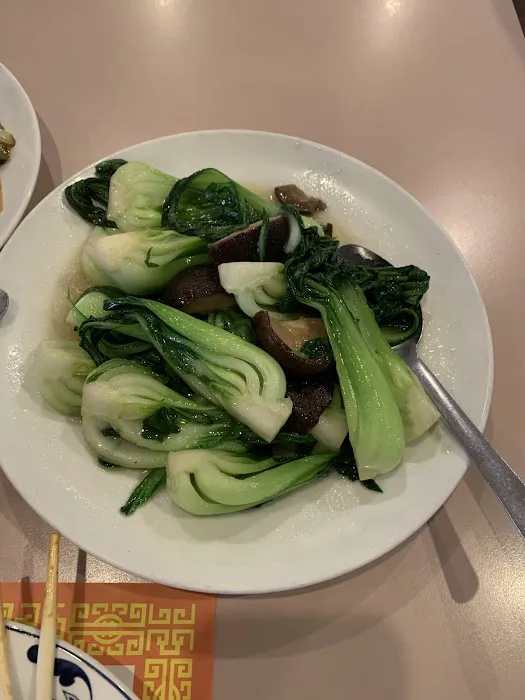 Panda House Chinese Restaurant Picture 7