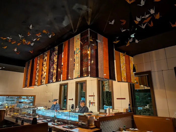 Sun Japanese Kitchen Picture 7