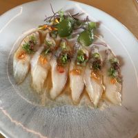 Aya Sushi ico