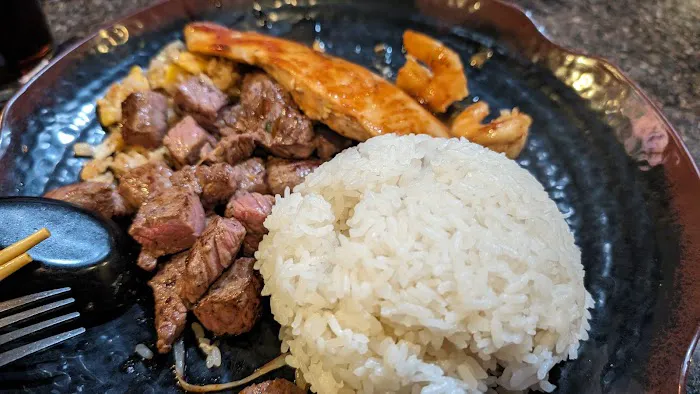 Sake Hibachi Sushi & Bar Picture 4