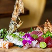 Piranha Killer Ramen ico