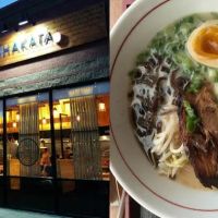 Ramen Hakata ico