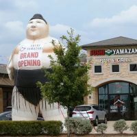 Sushi Yamazaki Bar & Grill ico