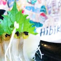 Hibiki Sushi ico