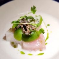 Uchi Dallas ico