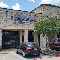 Blue Ginger ico