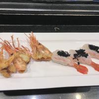 Fujiyama ico