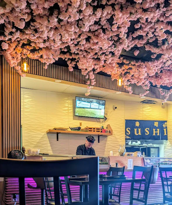 Sushi Hana Picture 4