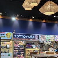 Totto Yama ico