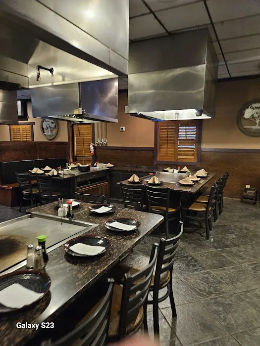 Shogun Hibachi & Sushi Picture 8