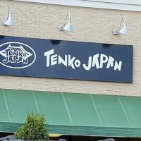Tenko Japan ico