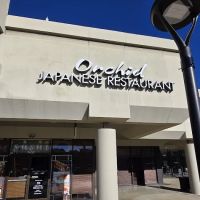 Orchid Japanese Restaurant ico
