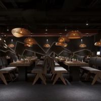 TDLLO Ramen & Sushi ico
