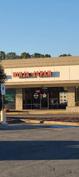 Ninja Japan Picture 7
