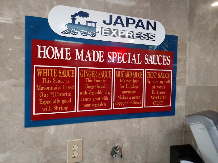 Japan Express Picture 8