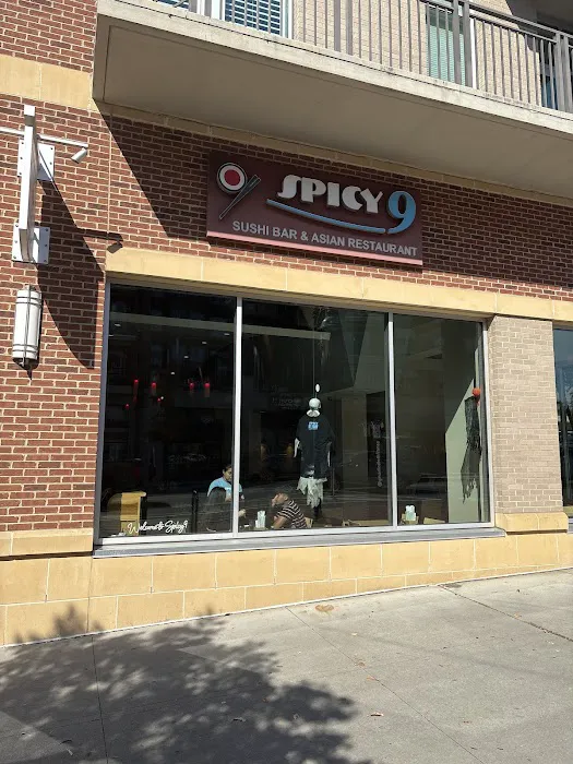 Spicy 9 Sushi Bar & Asian Restaurant Picture 9