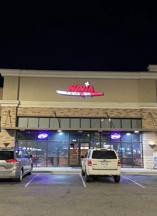 Ninja Hibachi Express Picture 5