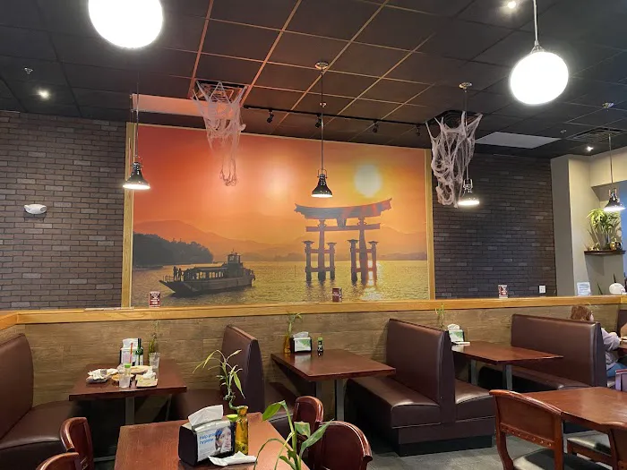 MEGA HIBACHI Picture 7