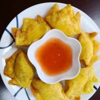 hibachi express ico