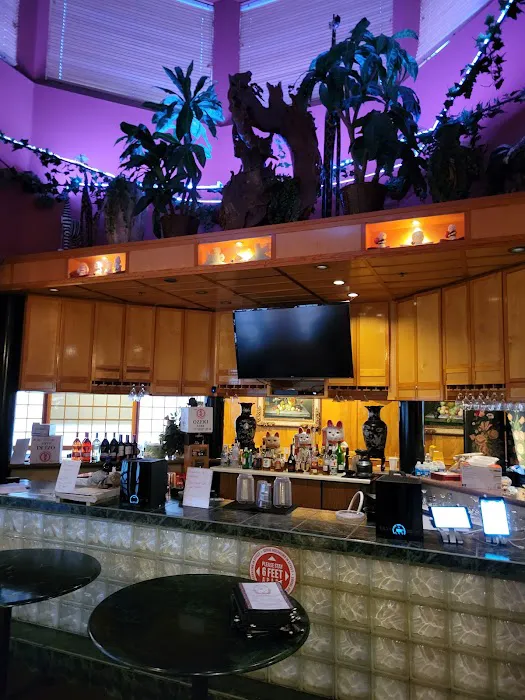 Sapporo Fantasy Japanese Steak Picture 8