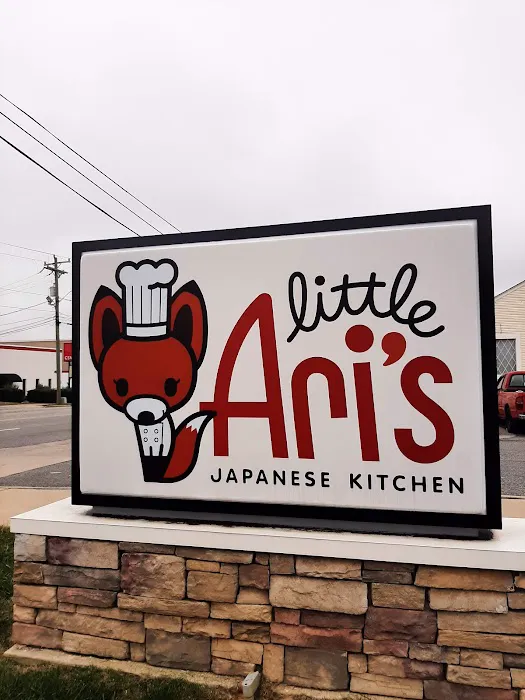 Little Ari's Japanese Kitchen Picture 10