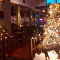 Kabuto Japanese Steakhouse and Sushi Bar ico