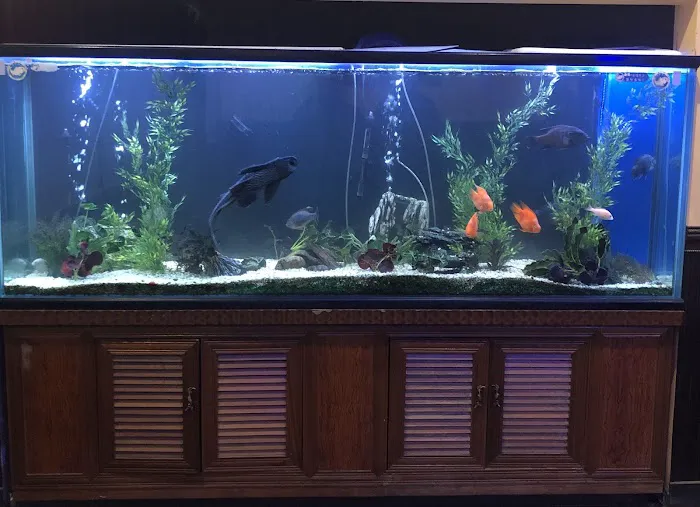 Hibachi Sushi Buffet Picture 9