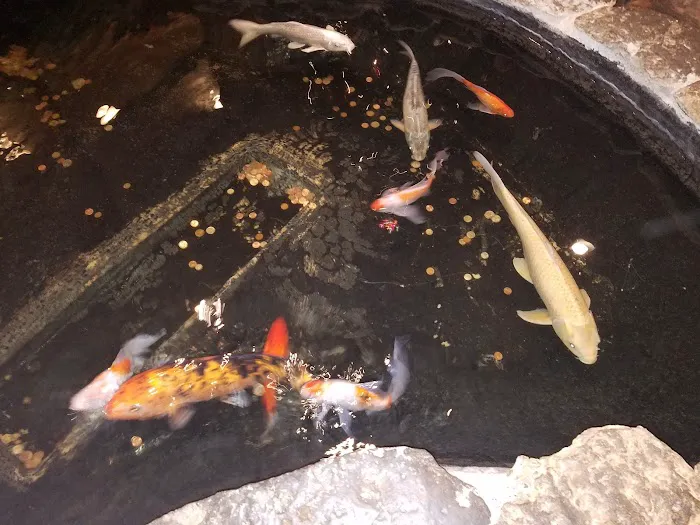Shogun Japanese Steak Seafood & Sushi Picture 7