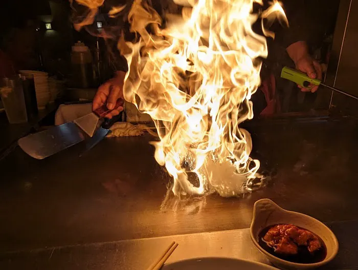Edo-Ya Tokyo Cuisine Picture 7