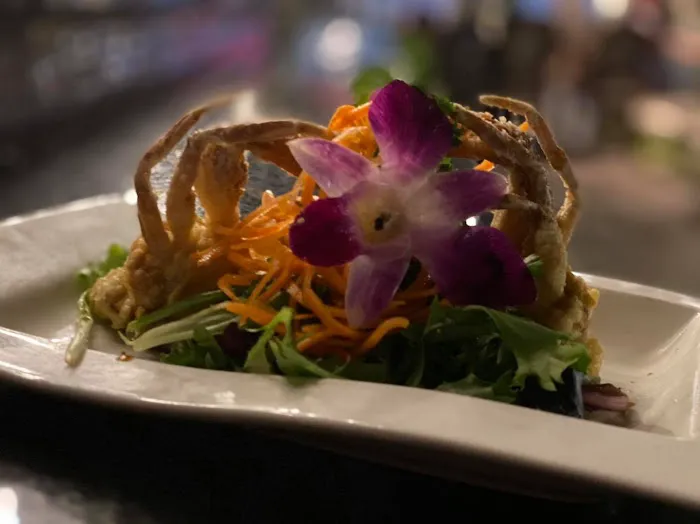 Sushi Bar Japanese Cuisine Picture 4