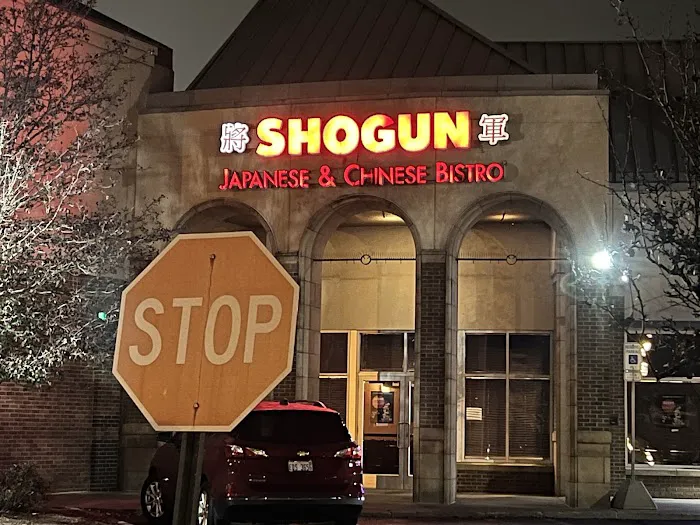 Shogun Japanese and Chinese Bistro Picture 3