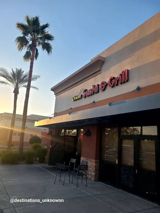 Orient Sushi & Grill Picture 6