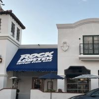 Rock Lobster ico