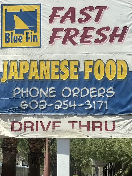 Blue Fin Picture 6