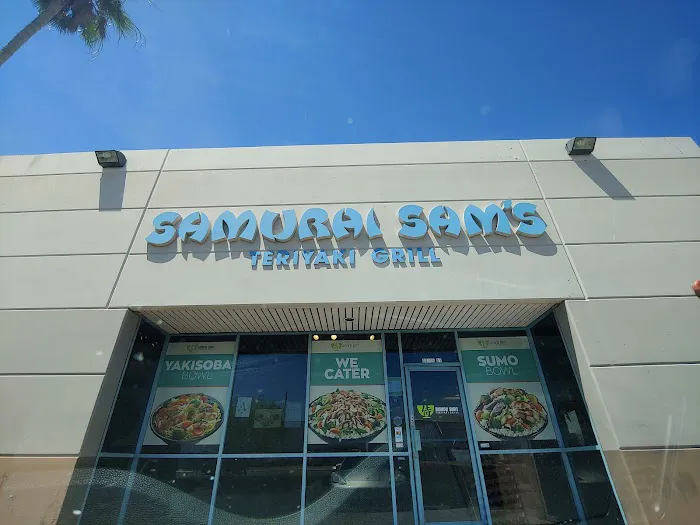 Samurai Sam's Picture 5
