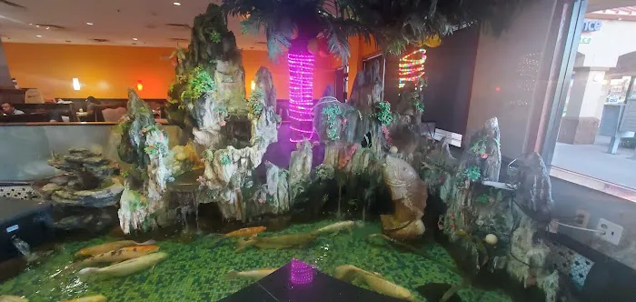 Hibachi Grill Picture 8