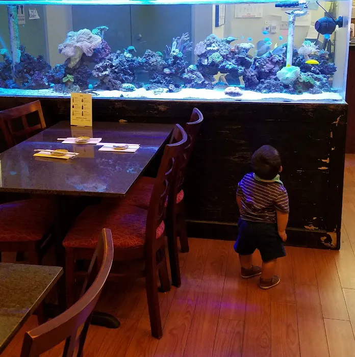 Oishii Mika Sushi Picture 1