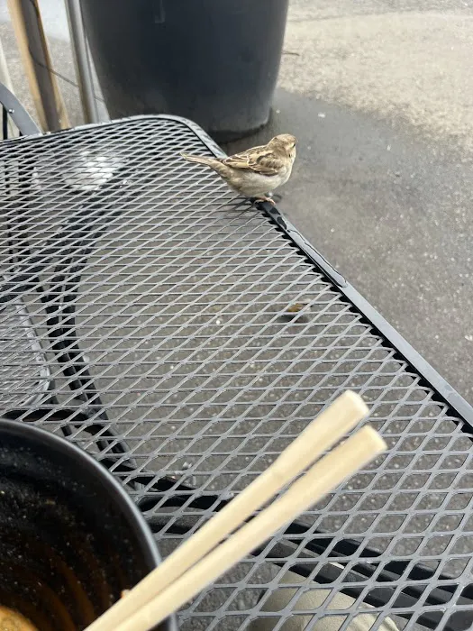 Suki Ramen Picture 6
