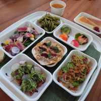 Bamboo Sushi ico